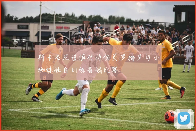 斯卡洛尼谨慎对待伤员罗梅罗与小蜘蛛独自训练备战比赛